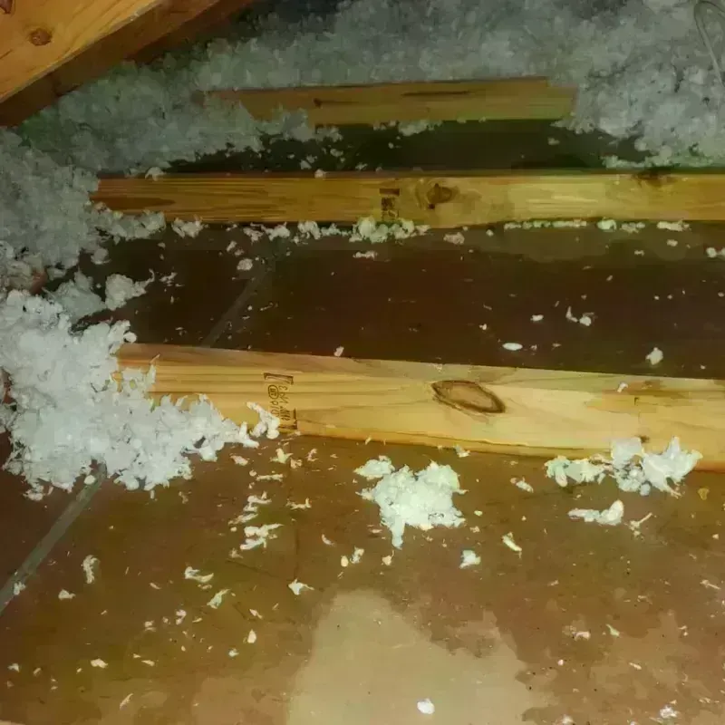 Attic Water Damage in Rawls Springs, MS