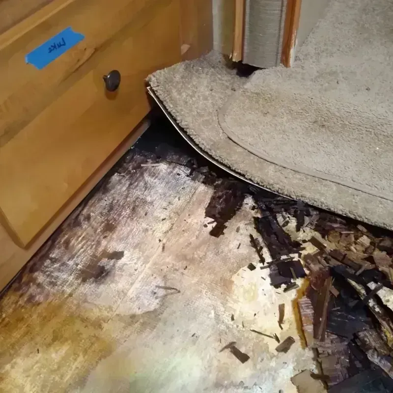 Best Wood Floor Water Damage Service in Rawls Springs, MS